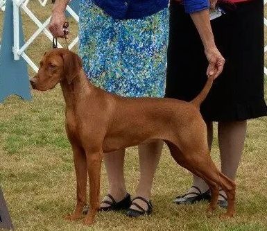 Image of Kelby Creek's Spirit Of Kilauea