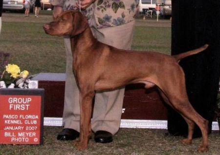 Image of Encounter A Duke Fantasy