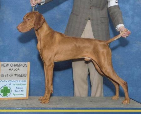 Image of Banker's Gold Standard