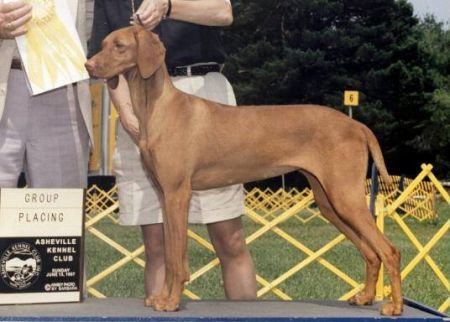 Image of Banker's Red Light Special