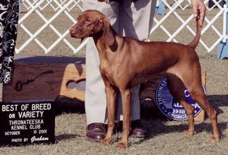 Image of Banker's Georgia Harvest