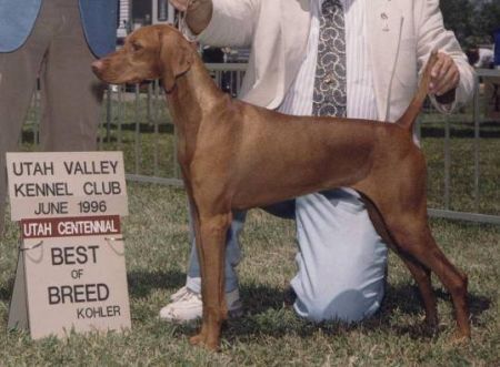 Image of Banker's Red Ink