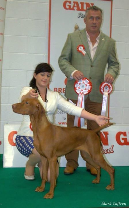 Image of Risley Poetry in Motion