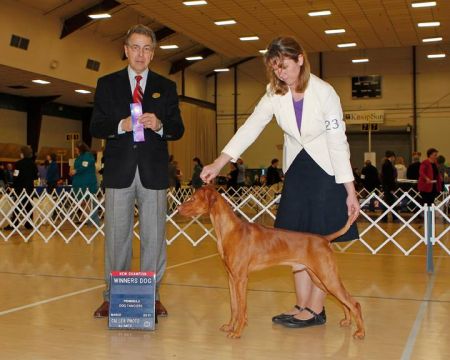 Image of Jaybren's Mystical Deja Vu