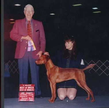 Image of Tierah's Chinook Magic