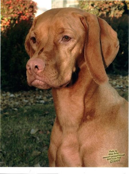 Image of Classic Colors Of The Wind