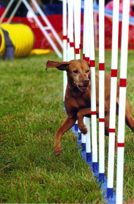 Image of Classic Colors Of The Wind