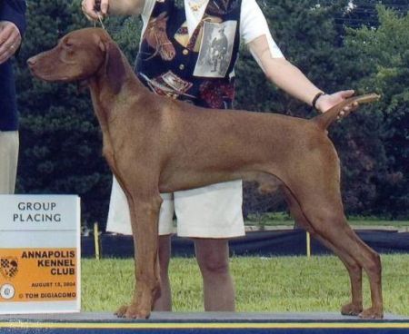 Image of Banker's Top Brand