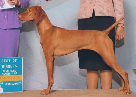 Image of Cameo's Secret Agent 'M'