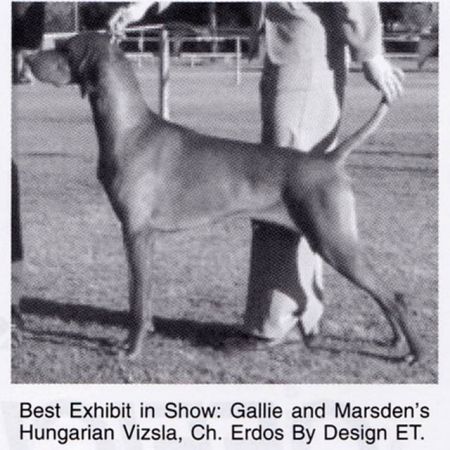 Image of Erdos By Design