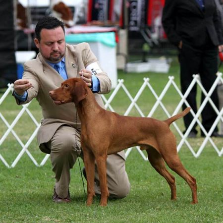 Image of Moonlight's Rock'n In The Free World