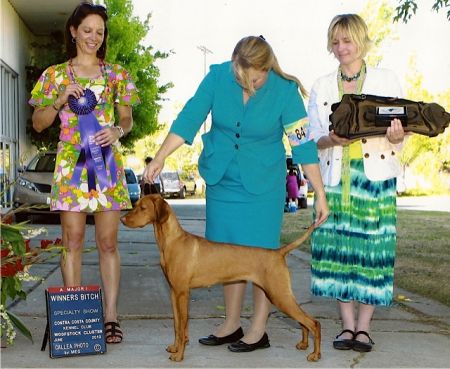 Image of Hrq Meet The Expert