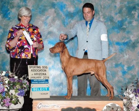 Image of Nyircsaszari Tatra