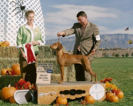 Image of Nyircsaszari Nyajas Cigany