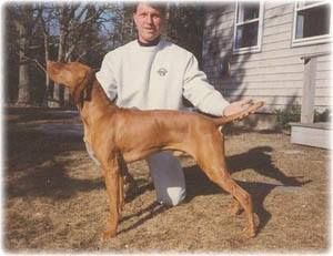 Image of Obertakt Downeast Jacky Blue