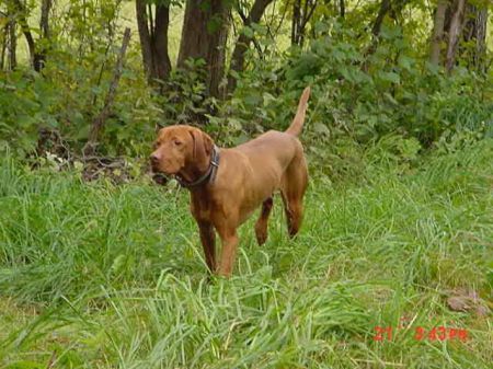 Image of Keystone Upwind Doubledipity