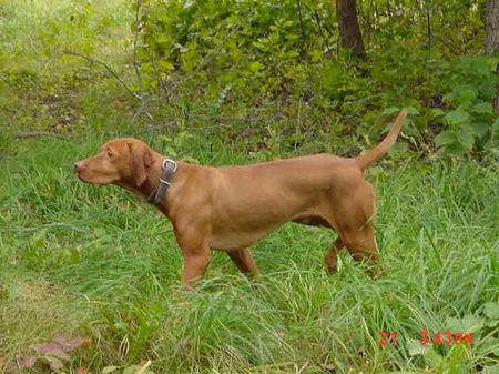 Image of Keystone Upwind Doubledipity