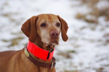 Image of Snowridge Rundevu At Red Oak