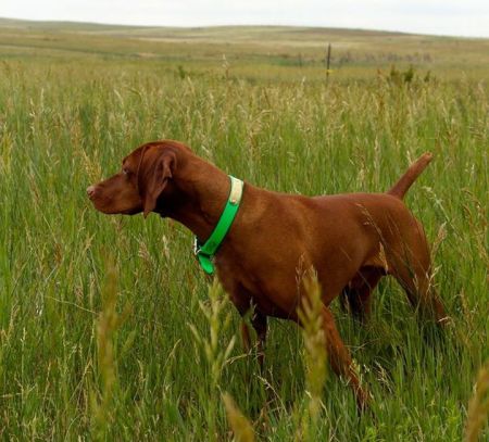 Image of Rhapsody's Divine Timing