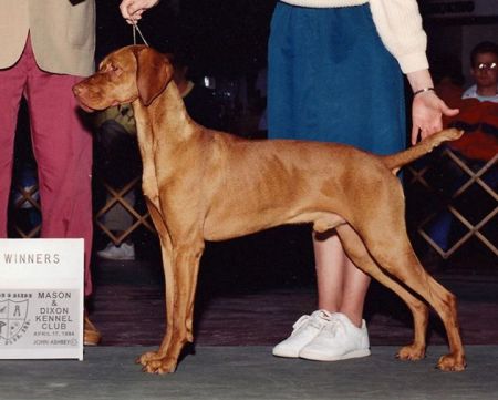 Image of Embers Bold As Brass