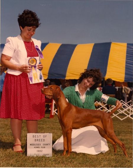 Image of Firebrand's Molly's Folly