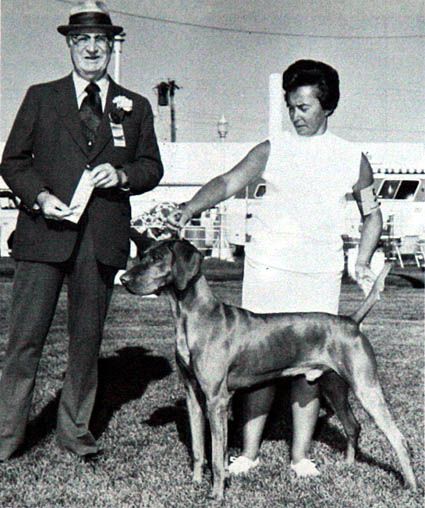 Image of Buda's Pest Of Zanger