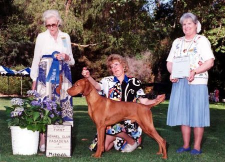 Image of Koppertone's Magyar Buszke