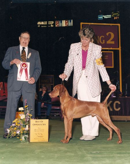 Image of Koppertone's Redd Hott Jazz