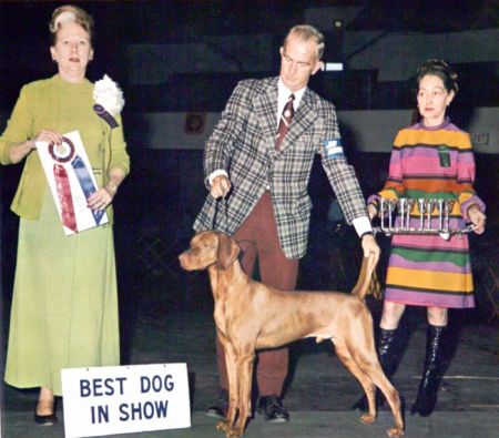 Image of Taunee's Loki Santana