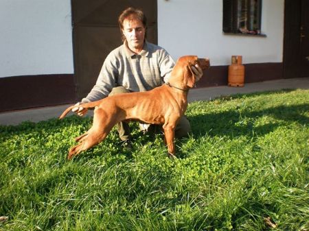 Image of Bil od Komtema