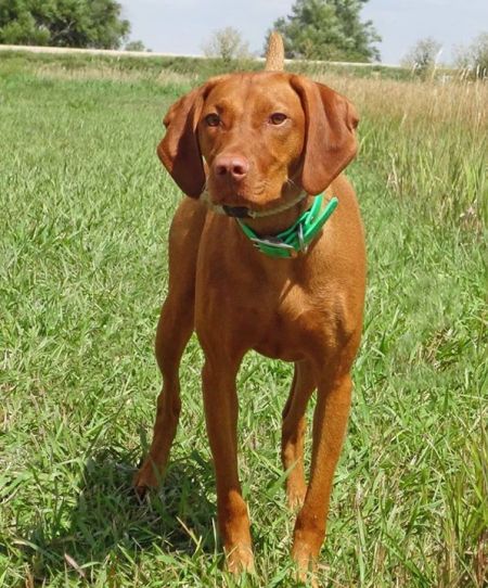 Image of Rhapsody Feelin' Hot Hot Hot