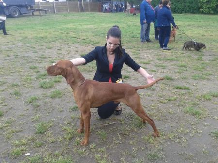 Image of Pitypang Fityisz