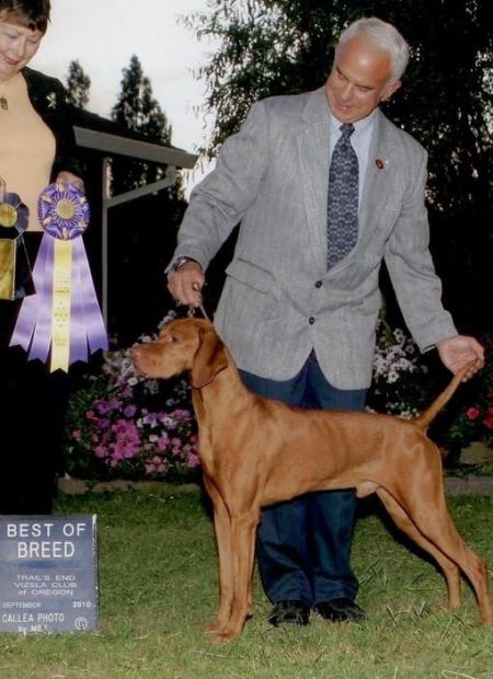 Image of Dunantul's Czardas Of Tierah