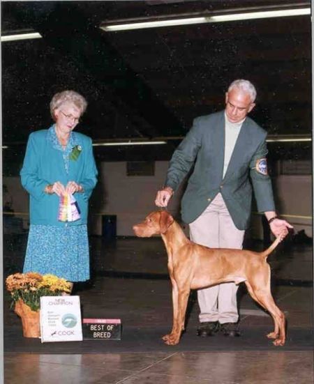 Image of Debreceni Infidel Tivadar