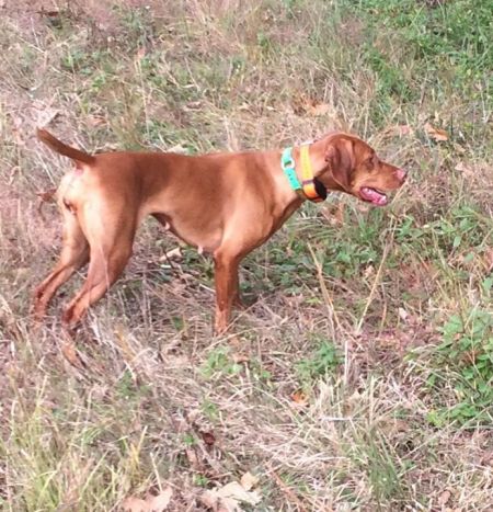 Image of Kick Em Up Riley