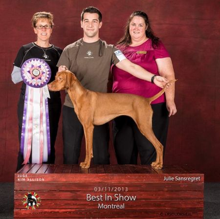 Image of Vihar Ev Ketto Kihivas