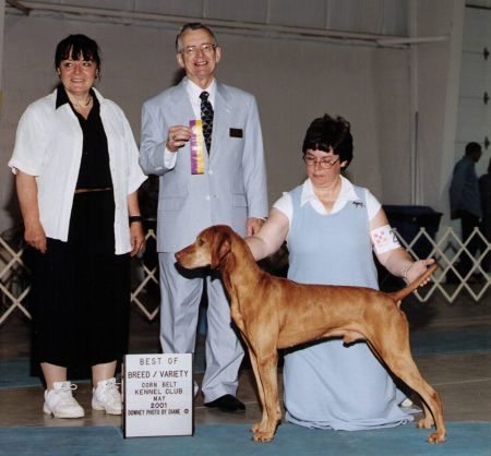 Image of Maximum Strider