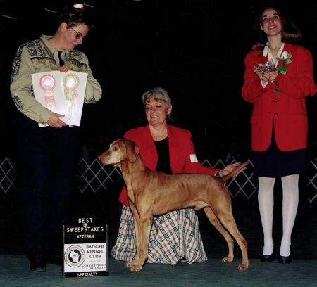 Image of Maximum Strider