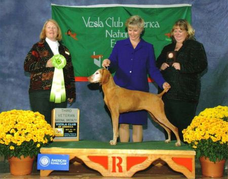 Image of Bayview N Titan's Summerdream