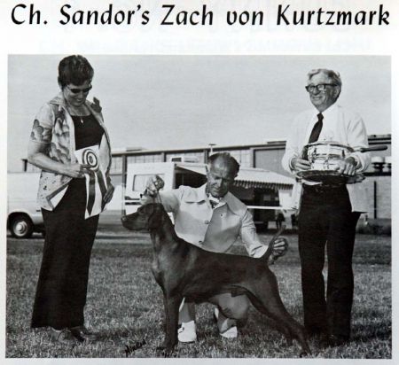 Image of Sandor's Zach von Kurtzmark