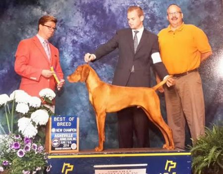 Image of Firelight's Cariad Elgin Saponi