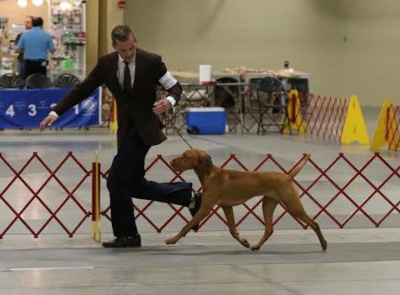 Image of Firelight's Cariad Elgin Saponi