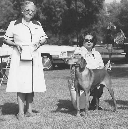 Image of Napkeltei Vadasz Dalos