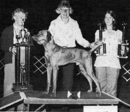 Image of Miles To Go Before I Sleep