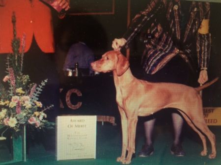 Image of Harann's Arabesque Opus One