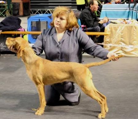 Image of Zöldmáli Zoé