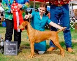 Image of Jaybren's Bonfire Konyak