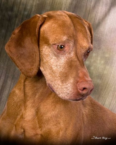 Image of Jaybren's Call Me Mister Blue