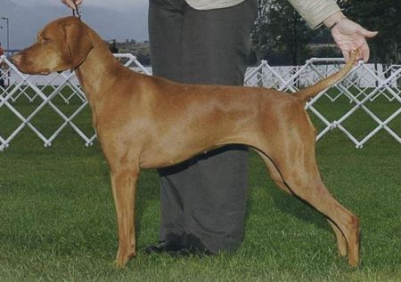 Image of Dezertfyre And Ice