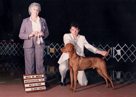 Image of Oakleaf's Whiskey Pete